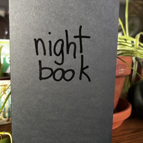 Cover of Night Book by Susan Mills