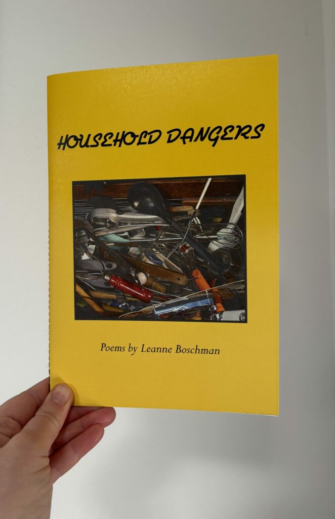 Cover of Household Dangers by Leanne Boschman